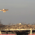 18_55-mast.jpg