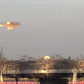 19_10-mast.jpg