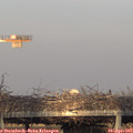 19_15-mast.jpg
