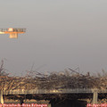 19_20-mast.jpg