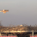 19_25-mast.jpg