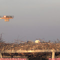 19_35-mast.jpg