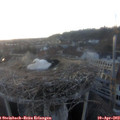 20_00-nest.jpg