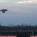 06_45-mast.jpg