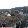 06_45-nest.jpg