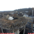 06_50-nest.jpg