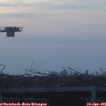 06_55-mast.jpg