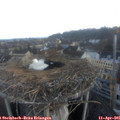 06_55-nest.jpg