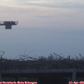 07_00-mast.jpg