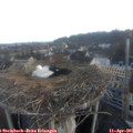 07_00-nest.jpg