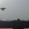 07_30-mast.jpg