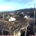 07_35-nest.jpg