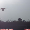 07_40-mast.jpg