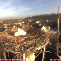 07_45-nest.jpg