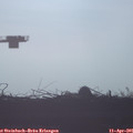 07_55-mast.jpg