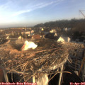 07_55-nest.jpg