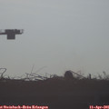 08_00-mast.jpg