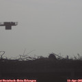 08_05-mast.jpg