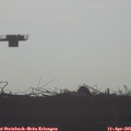 08_10-mast.jpg