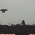 08_15-mast.jpg
