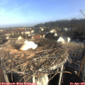 08_15-nest.jpg
