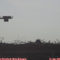 08_20-mast.jpg