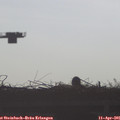 08_25-mast.jpg