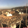 08_25-nest.jpg