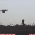 08_35-mast.jpg