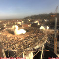 08_35-nest.jpg