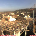 08_40-nest.jpg