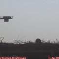 08_45-mast.jpg