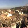 08_45-nest.jpg