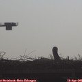 09_00-mast.jpg