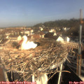 09_00-nest.jpg