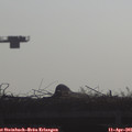 09_05-mast.jpg
