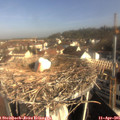 09_05-nest.jpg