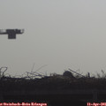 09_10-mast.jpg