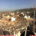 09_10-nest.jpg