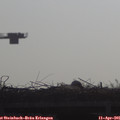 09_15-mast.jpg