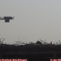 09_20-mast.jpg