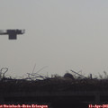 09_25-mast.jpg