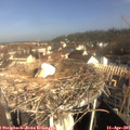 09_25-nest.jpg
