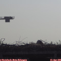 09_35-mast.jpg