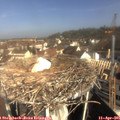 09_35-nest.jpg