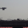 09_40-mast.jpg