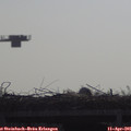 09_45-mast.jpg