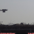 09_55-mast.jpg