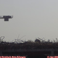 10_00-mast.jpg