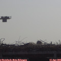 10_05-mast.jpg